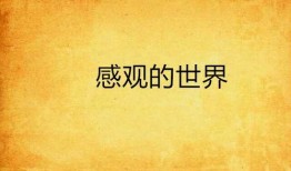 感观世界在线观看视频