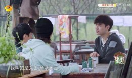 黄磊杨紫最新爆料