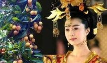 贵妃喜欢吃瓜看戏免费,尽享皇家免费盛宴