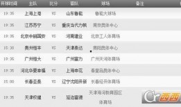 在线观看网站2017,2017年在线观看网站发展综述