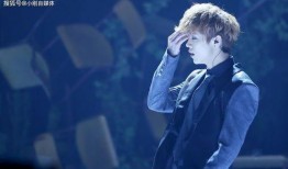 圈内爆料鹿晗黄晓明,揭秘娱乐圈的友情与竞争