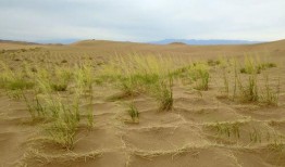 最新沙漠爆料新闻事件视频,最新视频揭秘惊人真相