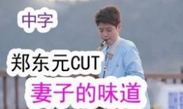 味道中文 在线观看,在线观看“味道中文”美食盛宴