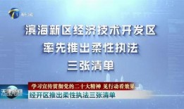 天津新闻报道爆料,揭秘某事件背后真相