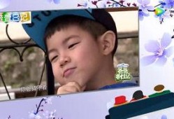 娱乐星闻大爆料,娱乐星闻大爆料背后的惊人真相