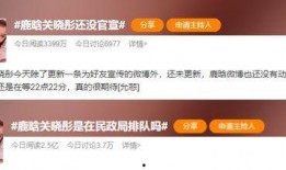 摄影刘大锤今日爆料视频,今日摄影界重磅爆料视频深度解析