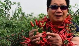 中国辣王李永志爆料新闻,揭秘中国辣王背后的故事
