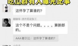 免费吃瓜聊天记录合集下载,揭秘网络社交背后的趣味与真相