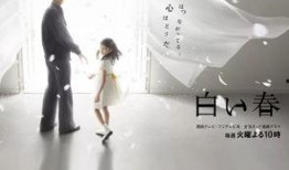 白色之春在线观看,在线观看，探寻春日里的温暖与希望